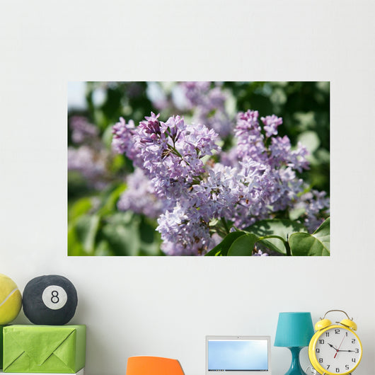 Lilacs 2