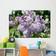 Lilacs 2