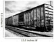 Rail Cars Wall Mural