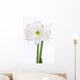 Amaryllis Nahaufnahme Wall Decal