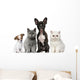 Group of Dogs and Cats Wall Decal