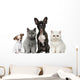Group of Dogs and Cats Wall Decal