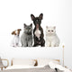 Group of Dogs and Cats Wall Decal