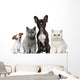 Group of Dogs and Cats Wall Decal