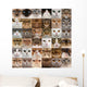 Collage 36 Cat Heads