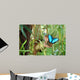 Butterfly Wall Mural