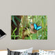 Butterfly Wall Mural