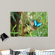 Butterfly Wall Mural