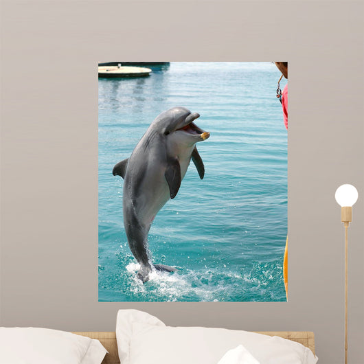 Play Wall Decal