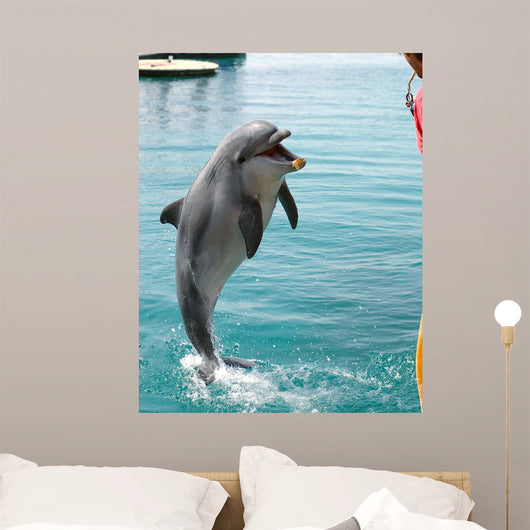 Play Wall Decal