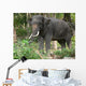 Elephant Wall Mural