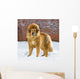 Tibetan Mastiff