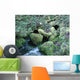 Spring Wall Decal Design 1