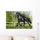 Friesenhengst Wall Mural