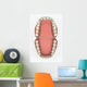 Dental Chart Wall Decal