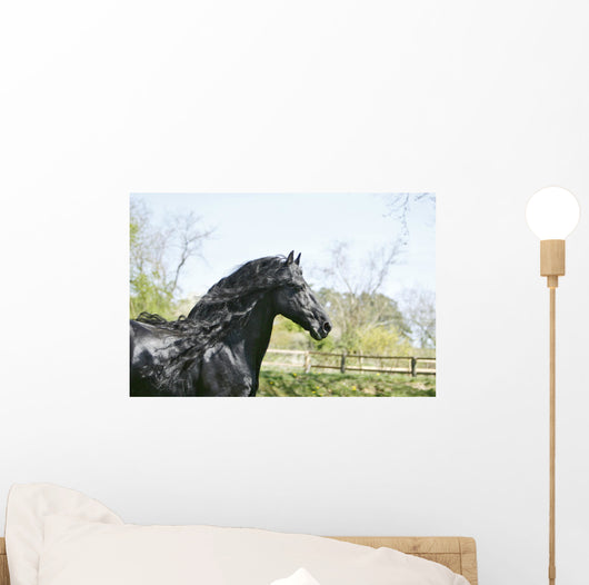 Black Frieze Horse Wall Mural