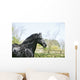 Black Frieze Horse Wall Mural