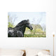 Black Frieze Horse Wall Mural