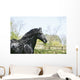 Black Frieze Horse Wall Mural