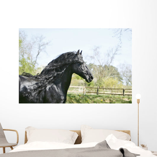 Black Frieze Horse Wall Mural