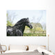 Black Frieze Horse Wall Mural
