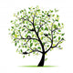 Spring Tree Green With Birds Wall Mural