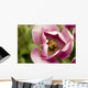 Single Tulip Wall Mural
