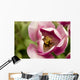 Single Tulip Wall Mural