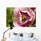 Single Tulip Wall Mural