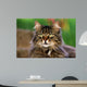 Cat Portrait Wall Decal