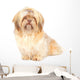 Shih Tzu Studio Front Wall Decal