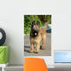 Briard Wall Mural