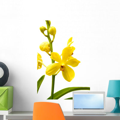 Yellow Orchid Wall Decal shown on a wall