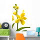 yellow orchid Wall Decal