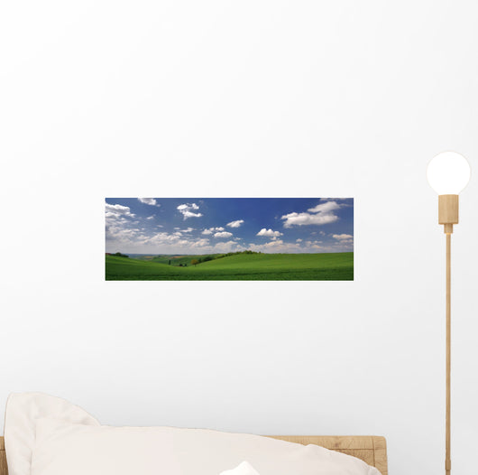 panorama de printemps Wall Mural