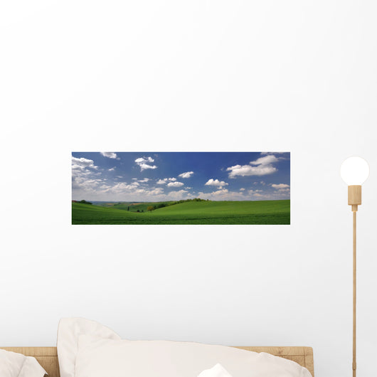 panorama de printemps Wall Mural