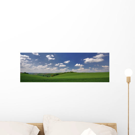 panorama de printemps Wall Mural