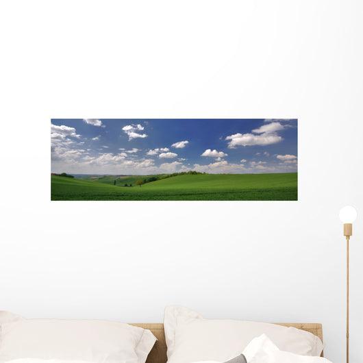 panorama de printemps Wall Mural