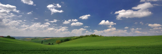 panorama de printemps Wall Mural