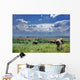 vaches et nature Wall Mural