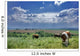 vaches et nature Wall Mural
