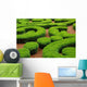 Labyrinthe Vegetal Wall Decal Design 1