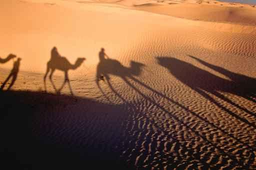 Shadow Caravan Wall Decal