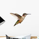 Isolated Ruby-throated Hummingbird Wall Decal