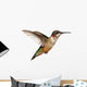 Isolated Ruby-throated Hummingbird Wall Decal