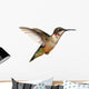 Isolated Ruby-throated Hummingbird Wall Decal