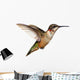 Isolated Ruby-throated Hummingbird Wall Decal