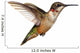 Isolated Ruby-throated Hummingbird Wall Decal