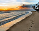 Hawaiian Maui Footprints Wall Mural