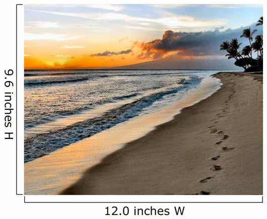 Hawaiian Maui Footprints Wall Mural